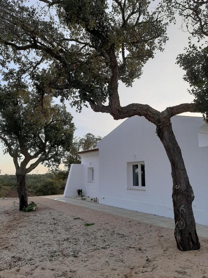 Monte Vale Manhas By Hi Alentejo Villa São Bartolomeu da Serra Kültér fotó