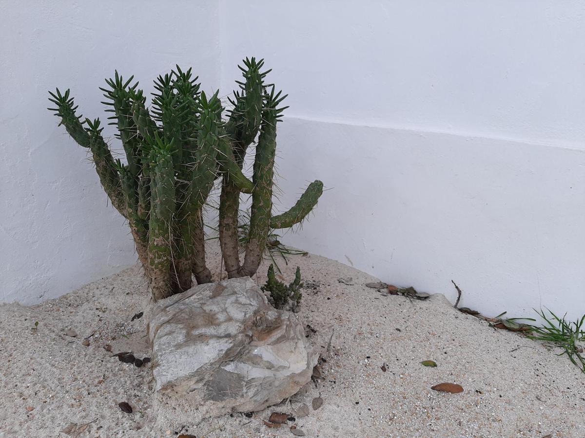 Monte Vale Manhas By Hi Alentejo Villa São Bartolomeu da Serra Kültér fotó